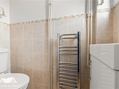 Picture 8